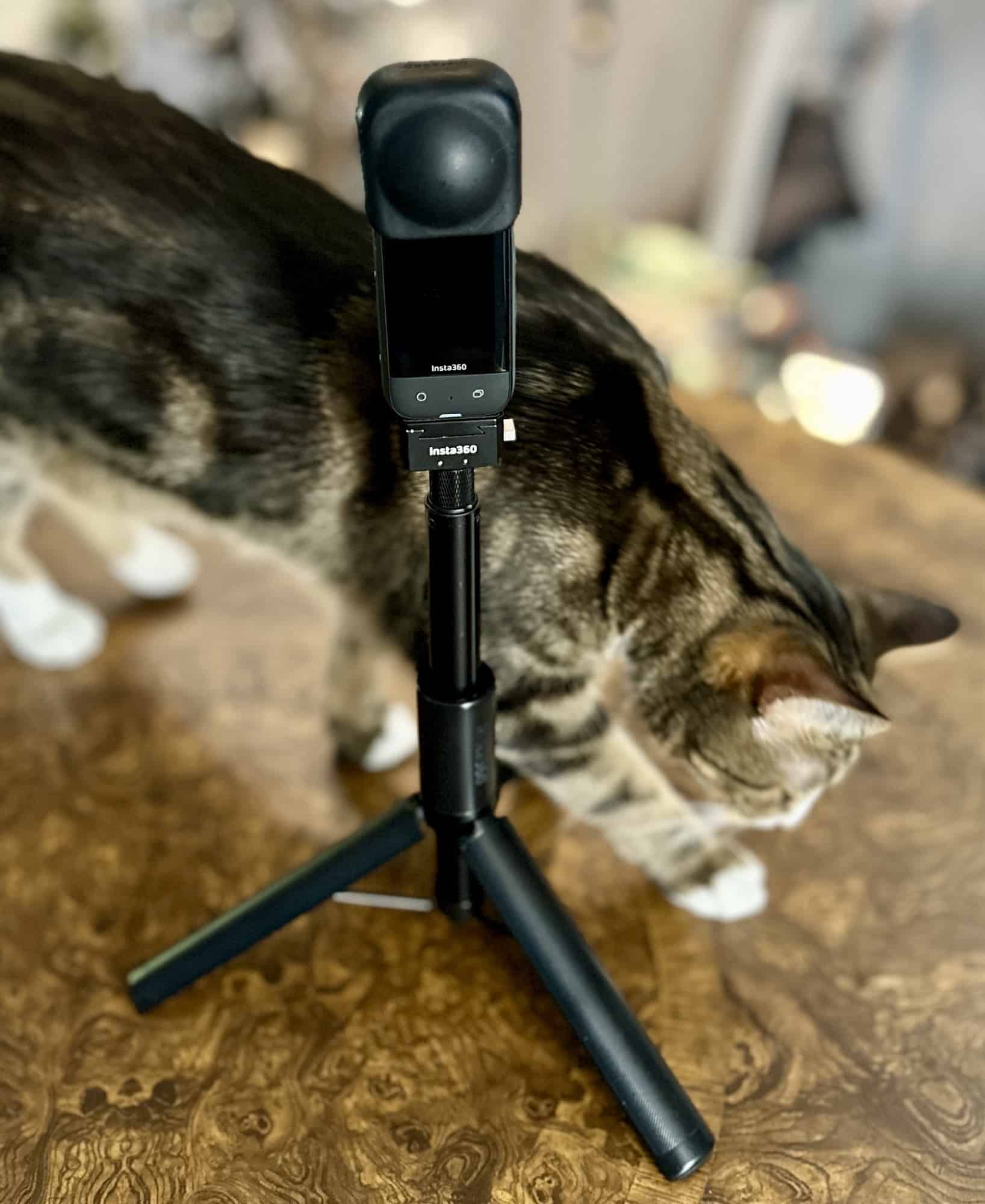 Insta360 X3, on a table with cat for reference size. is it waterproof?
