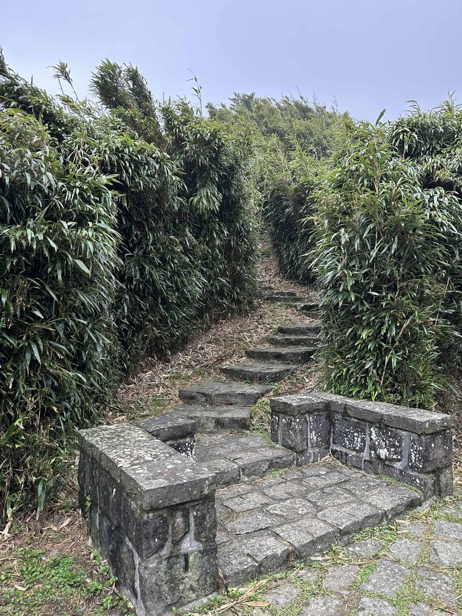 Xiaoyoukeng Recreation Area - steps into bamboo trail
